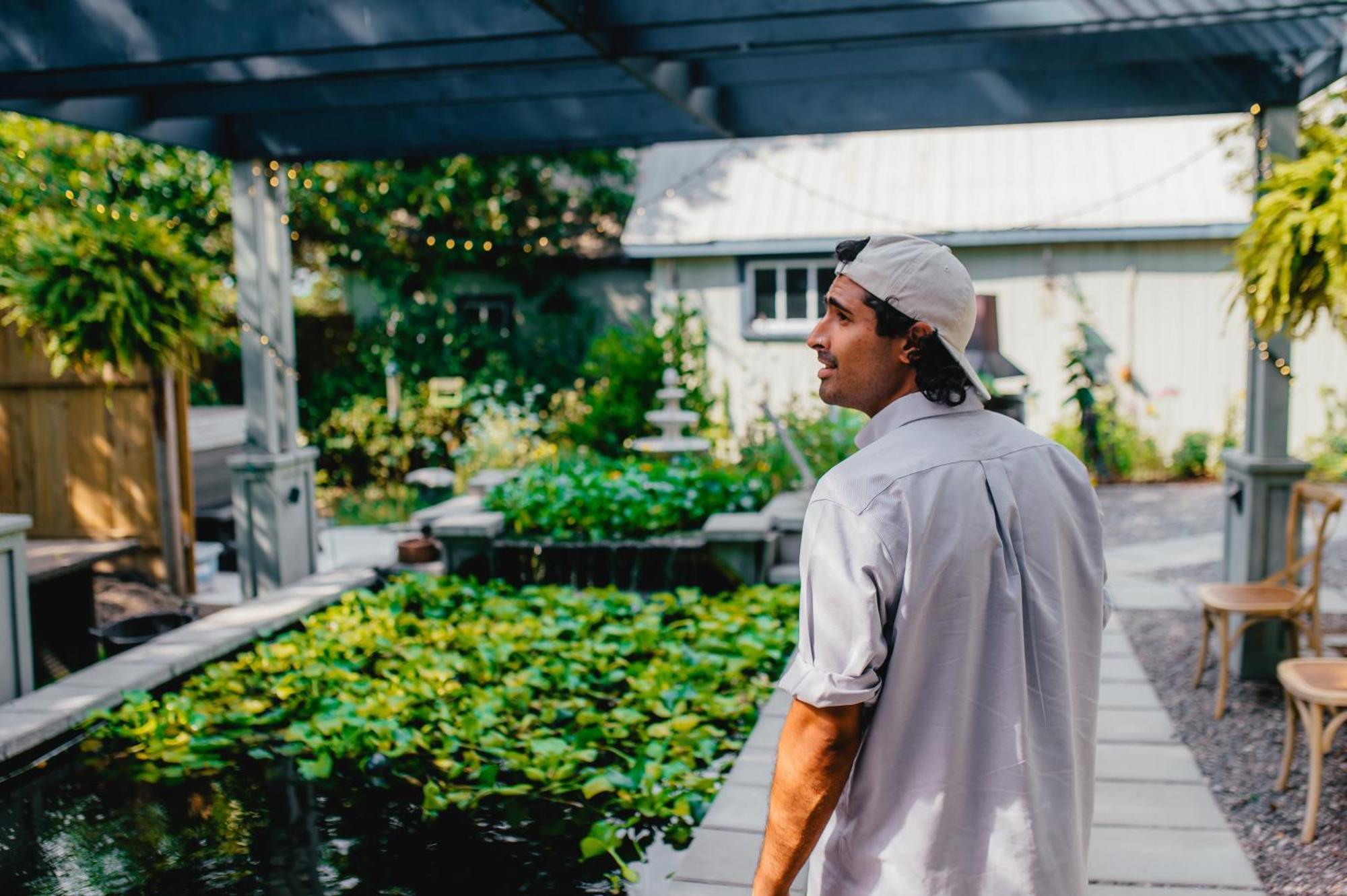 The Walnut Grove Bnb Harrow Eksteriør bilde